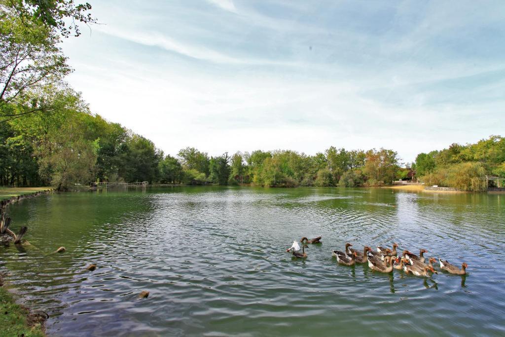 Auberge De L'Etang Bleu Vieux-Mareuil Pokój zdjęcie