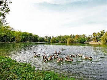 Auberge De L'Etang Bleu Vieux-Mareuil Zewnętrze zdjęcie